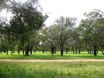 Third view of Homely house listing, 7 Quin Place, Dandaragan WA 6507