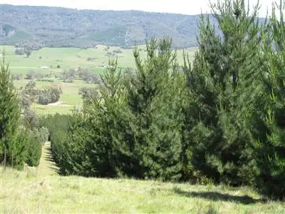 Seventh view of Homely rural property listing, 675 Middle Creek Road, Yarck VIC 3719