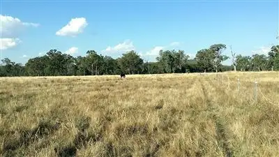 Seventh view of Homely rural property listing, lot 4/Lot 124 Hawthorn Road, Jindera NSW 2642