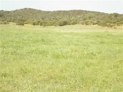 Fifth view of Homely rural property listing, 1205 Old Coorong Road, Kingston Se SA 5275