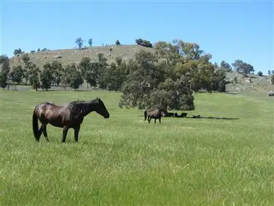 Lot 2 Cnr Sheans Creek Road & Fernhills Road, Euroa VIC 3666