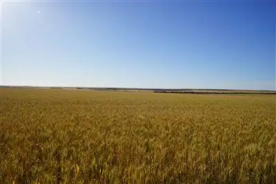 Sixth view of Homely rural property listing, Lot 25215 Tandegin East Road, Muntadgin WA 6420