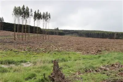 Third view of Homely rural property listing, 5 Lots Simpson/Corriemungle Districts, Simpson VIC 3266