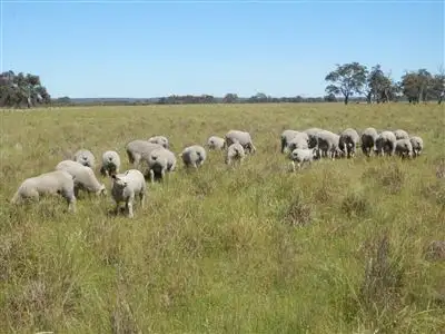 Fourth view of Homely rural property listing, 142 Clune Road, Gingin WA 6503