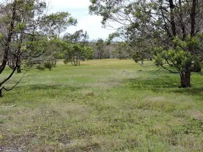 Fifth view of Homely rural property listing, 173 Regulating Basin Road, Mafeking VIC 3379