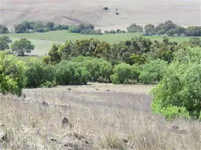 Seventh view of Homely land listing, 16c Clyde Hill Road, Bannockburn VIC 3331