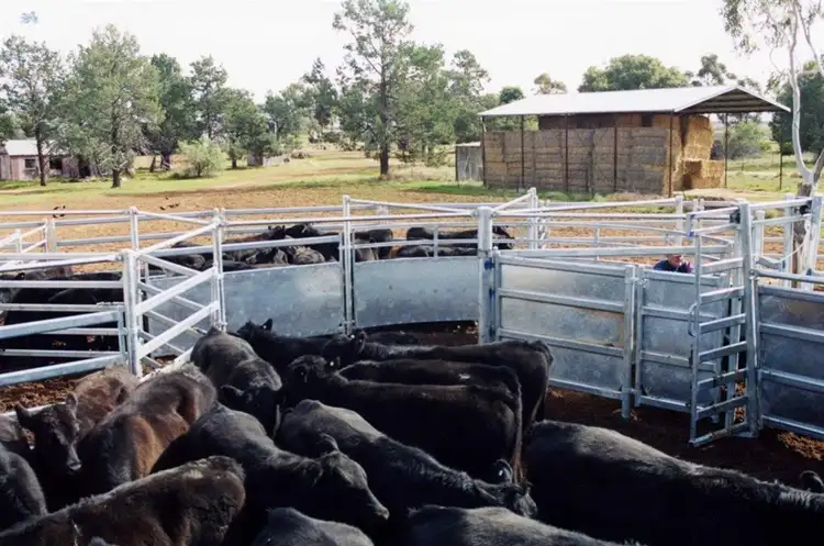 Third view of Homely rural property listing, . "Ramsay" Cobb Highway, Booroorban NSW 2710