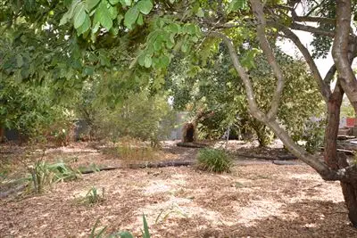 Fourth view of Homely house listing, 4112 Creswick - Newstead Road, Allendale VIC