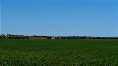 Sixth view of Homely rural property listing, Address available on request