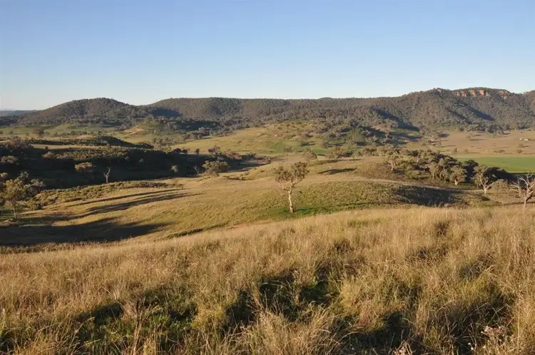 Fourth view of Homely rural property listing, 6749 Bylong Valley Way, Bylong NSW 2849