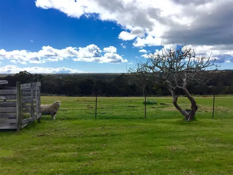 Fourth view of Homely rural property listing, 36 Cape Portland Road, Gladstone TAS 7264