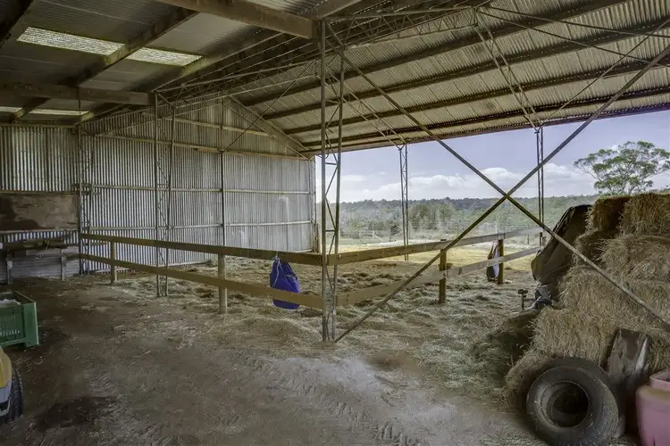 Fifth view of Homely rural property listing, 1262 Bridport Road, Bridport TAS 7262