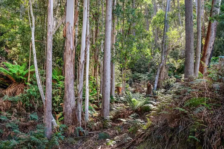 Sixth view of Homely land listing, Lot 1/235003 Hill Street, Middleton TAS 7163