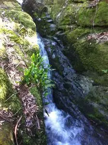 Second view of Homely house listing, 398 Germantown Road, St Marys TAS 7215