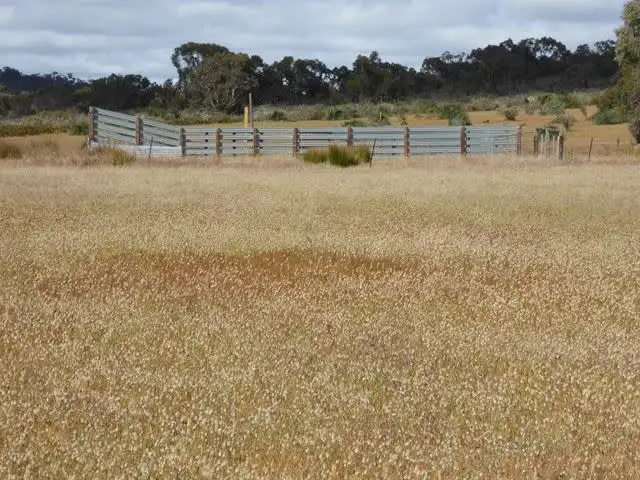 Fifth view of Homely rural property listing, 4712 Naracoorte Road, Naracoorte SA 5271