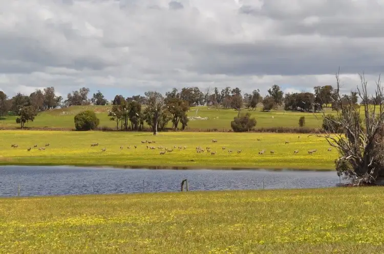 Main view of Homely rural property listing, ' Myola', Duranillin WA 6393
