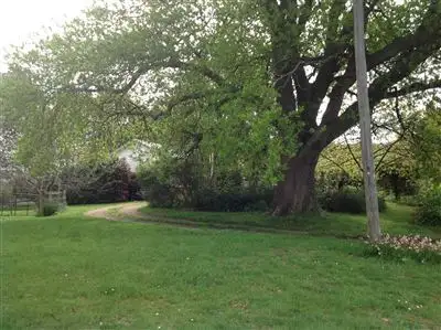 Second view of Homely rural property listing, 2755 Meeniyan Mirboo North Road, Mirboo North VIC 3871