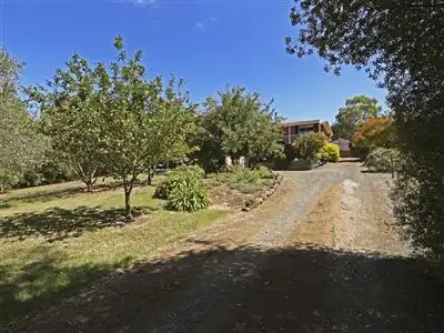 Main view of Homely house listing, 19 Somerset Court, Bannockburn VIC 3331