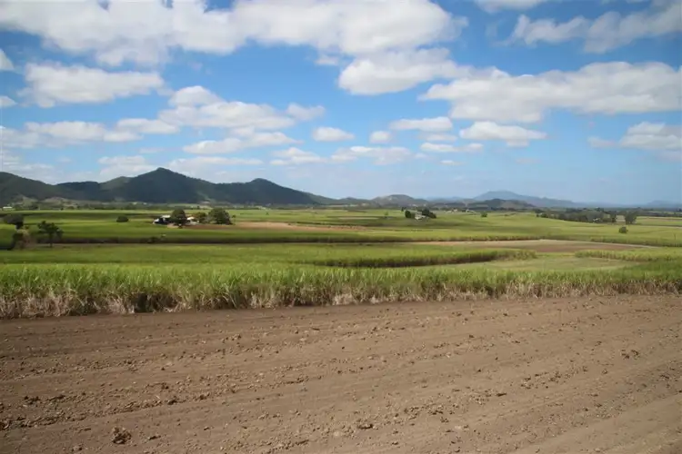 Fifth view of Homely rural property listing, 1342 Owens Creek Loop Road, Owens Creek QLD 4741
