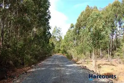 726 Austins Road, Turners Marsh TAS 7267