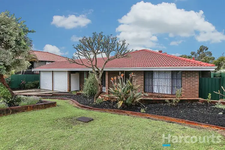 Main view of Homely house listing, 19 Ainslie Court, Kardinya WA 6163