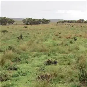 Third view of Homely rural property listing, . "Beehive Farm" Carlingup Road, Ravensthorpe WA 6346