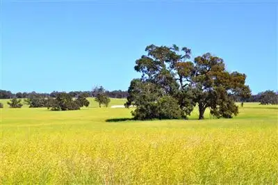 Fourth view of Homely rural property listing, Address available on request