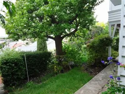 Fifth view of Homely house listing, 29 Tasma Street, East Launceston TAS 7250
