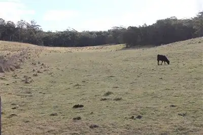 Seventh view of Homely rural property listing, 278 Willow Forest Road, Nerriga NSW 2622