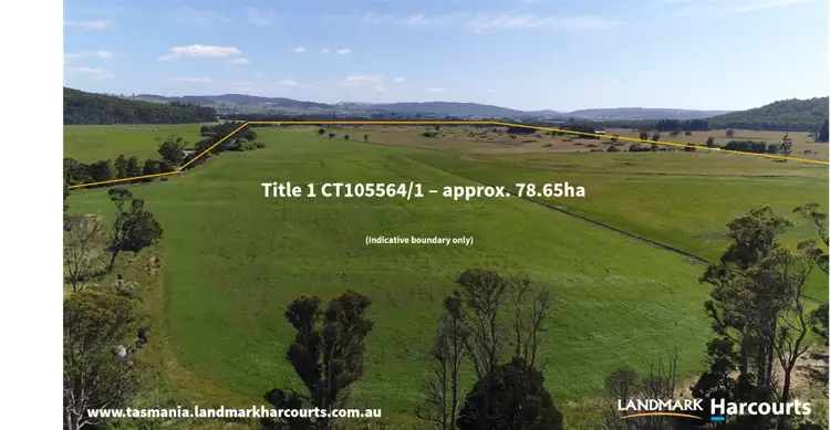 Second view of Homely rural property listing, 862 Cheshunt Road, Western Creek TAS 7304