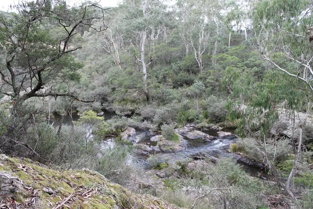 Main view of Homely rural property listing, Lot 2 McRaes Road, Braidwood NSW 2622