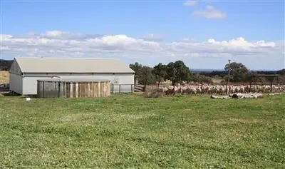 Main view of Homely rural property listing, 155r Dilladerry, Dubbo NSW 2830