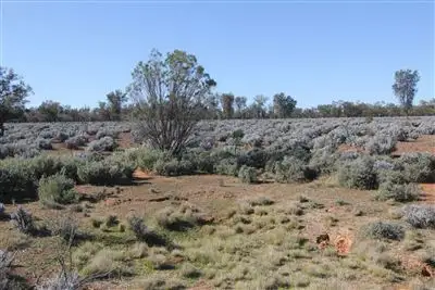 . Oakvale Station, Burra SA 5417