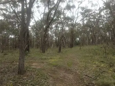 Third view of Homely land listing, 179 Baldwins Road, Trawalla VIC 3373