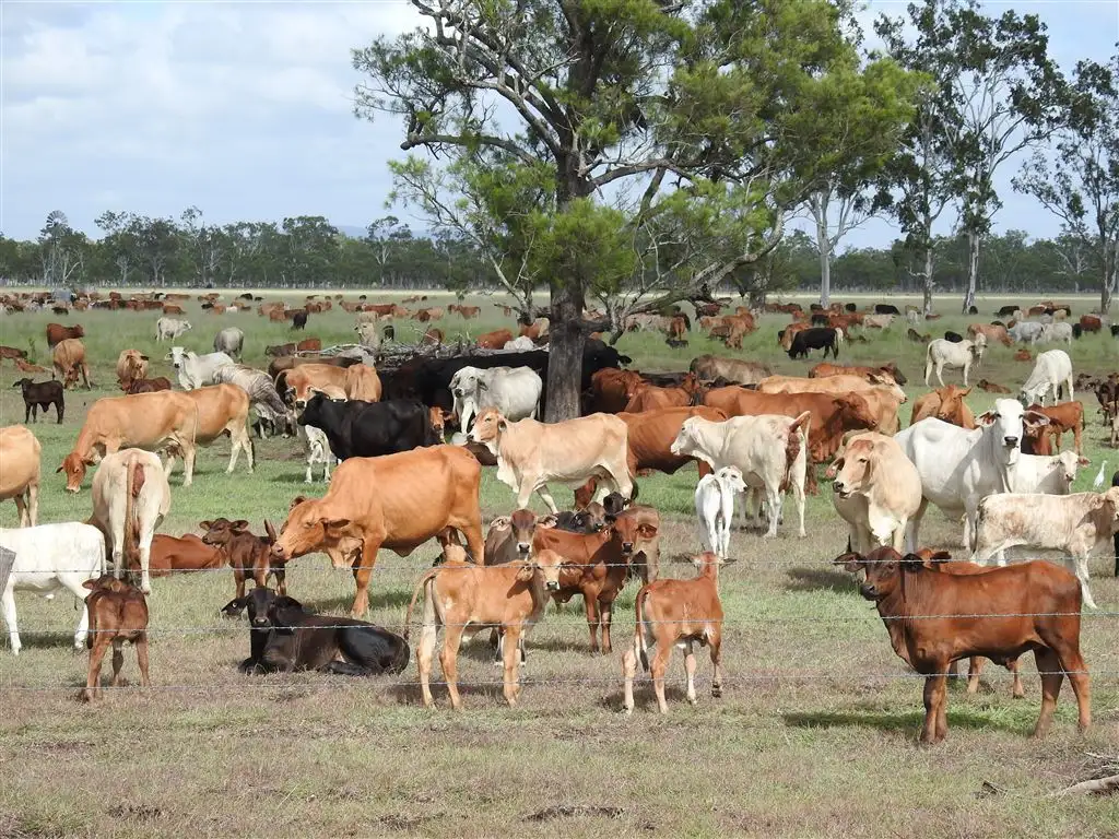 Main view of Homely rural property listing, Address available on request