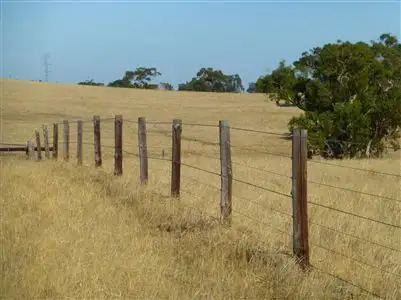 Fifth view of Homely rural property listing, 375 Napper Road, "Gum Tree Ridge", Keith SA 5267