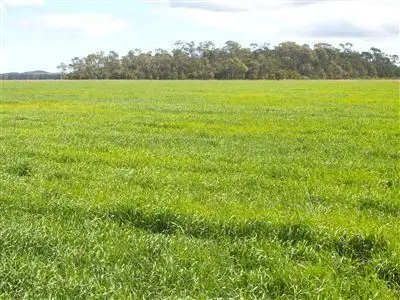 Main view of Homely rural property listing, - Punchs Creek Road, Millmerran QLD 4357