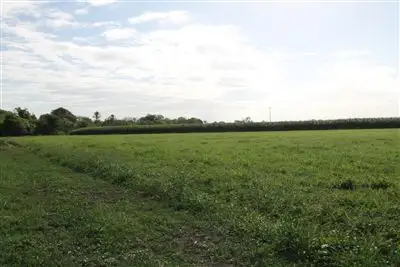 Main view of Homely land listing, 186 Old Clare Road, Ayr QLD 4807