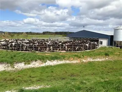 Second view of Homely rural property listing, 49 Hills Road, Redpa TAS 7330