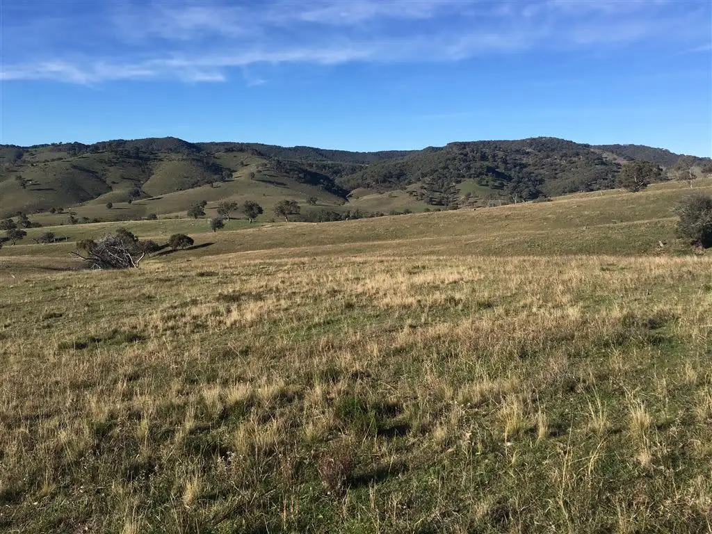 Main view of Homely rural property listing, L93/1191 Campbells Creek Rd, Mudgee NSW 2850