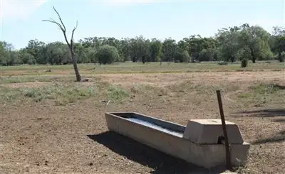 Sixth view of Homely rural property listing, 7856 Carinda Rd, Coonamble NSW 2829