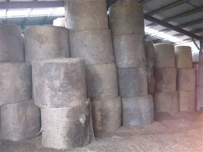 Seventh view of Homely rural property listing, 45 Poilinna Road, Edith Creek TAS 7330