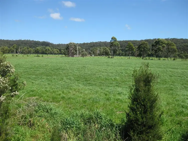 Fifth view of Homely rural property listing, 325 Rennison Road, Togari TAS 7330