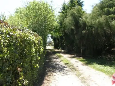 Second view of Homely rural property listing, 33152 Tasman Highway, Legerwood TAS 7263