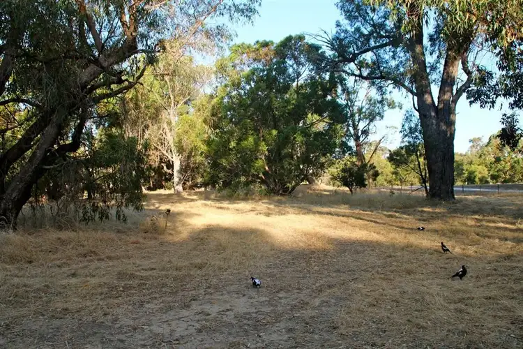 Main view of Homely rural property listing, 115 Clifton Downs Road, Herron WA 6211