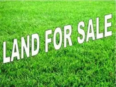 Main view of Homely land listing, 99 Raceview Avenue, Hendra QLD 4011