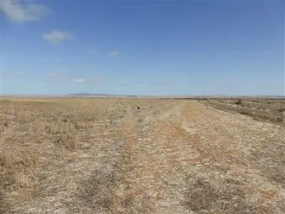 Second view of Homely rural property listing, 81 Wheat Road, Balaklava SA 5461