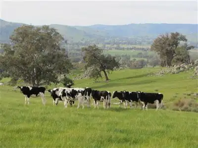0 Seven Creeks Estate Road, Euroa VIC 3666