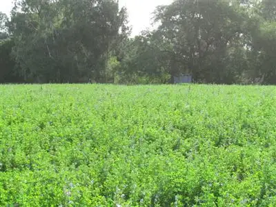 Second view of Homely rural property listing, Address available on request