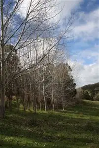 Third view of Homely rural property listing, 142 DAVIES STREET, Bridgetown WA 6255